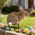 thumbnail image 5 of Garden Bunny Stake Outdoor Decor, Realistic Rabbit Yard Art, Metal Animal Lawn Ornament, Decorative Garden Stakes for Yard Landscaping, Rustic Farmhouse Patio Decor, Durable Iron Bunny Figure, 5 of 7