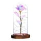 thumbnail image 1 of Bewildely 24k Lámina de oro Flor de rosa con pantalla de cristal de perla Lámpara decorativa Decoración Día de San Valentín LED Flor de rosa Día de Almacenamiento y organización del hogar Bewildely HA023718-00, 1 of 6