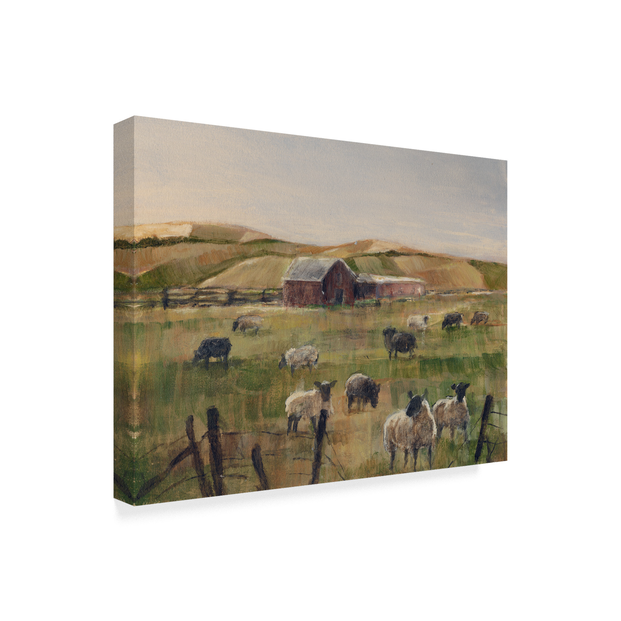 Trademark Fine Art 'Grazing Sheep II' Canvas Art by Ethan Harper