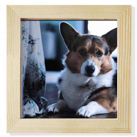 corgi dog pet animal lly picture Square Picture Frame Wall Tabletop Display