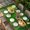 Green Yellow, variant on St. Patrick's Day Table Cloths for 5 Foot Rectangle Tables, Cute Kitten Cats Shamrock Leaf Wood Green Patio Waterproof Elastic Fitted Tablecloths, Washable Rectangular Table Cover for Camping