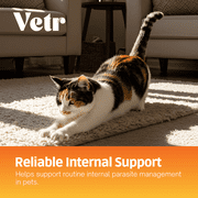 Vetr Pyramax 5% Pyrantel Pamoate Oral Suspension for Dogs & Cats Digestive Care, 500 ml