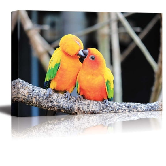 Canvas Prints Wall Art - Colorful Parrot Bird Kissing on The Perch Romantic Concept | Modern Wall Decor/Home Decoration Stretched Gallery Canvas Wrap Giclee Print & Ready to Hang - 32" x 48&