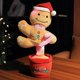 thumbnail image 1 of Dancing Plush Toy Electronic With Song Cute Dance Succulent Lovers Learning To Speak Toy, 1 of 1