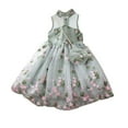 thumbnail image 1 of Robe Fille Enfants Sans Manches Dentelle Bébé Été Fête Fleur Robe Princesse Broderie Tulle Robe&Jupon Verte 130/6 Y-7 Ans, 1 of 5
