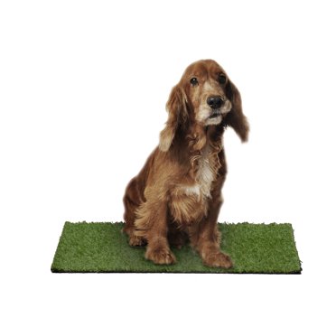 Garland Puppy Pee Pad 18 in. x 30 in. Easy Clean with Drainage Holes, Non-Toxic Realistic Artificial Grass Turf