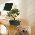 thumbnail image 1 of Upgrade Your Backyard With Realistic Stone Versatile Faux Rocks For Landscaping Projects!, 1 of 4