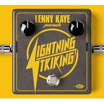 Various Artists - Lenny Kaye Presents Lightning Striking / Various - Music & Performance - CD