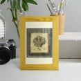 thumbnail image 5 of Mini Exotic Coral VI (U) - Framed Print w/glass - Sunflower Yellow, 5 of 8