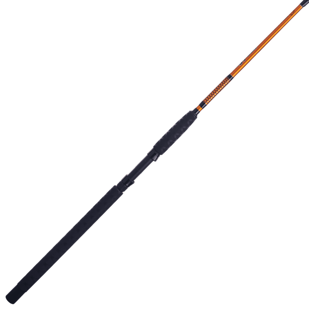 Ugly Stik Catfish Special Spinning Rod, 9' Medium Heavy Fishing Rod, 2 Piece