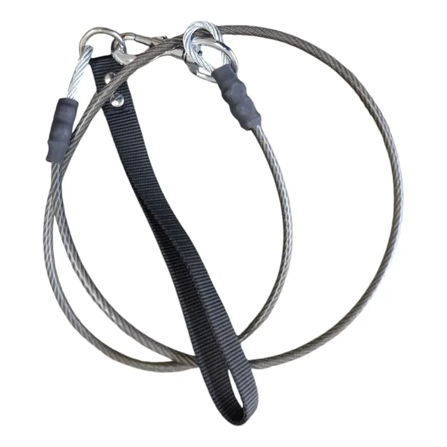 Correa Para Perros De Acero