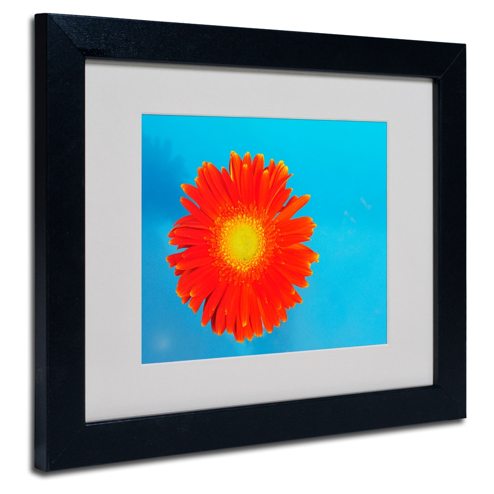 Trademark Fine Art 'Orange and Blue' 16' x 20' Wood Frame Art