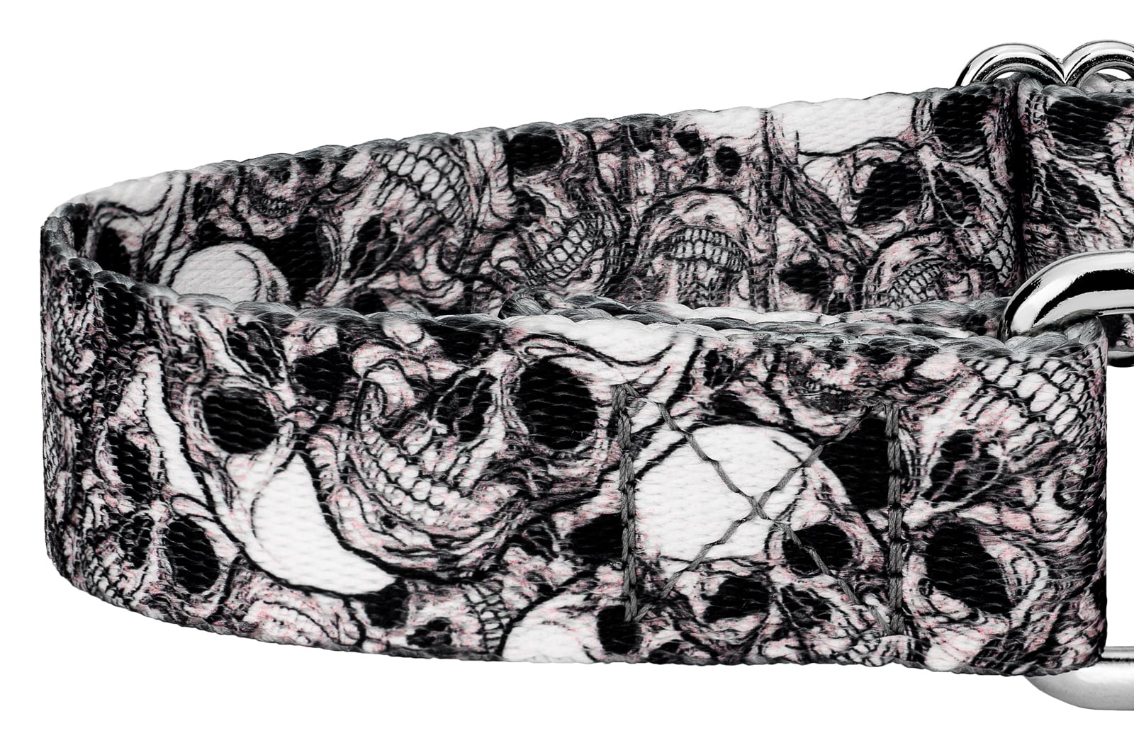 Country Brook Petz® Phantom Skulls Martingale Dog Collar and Leash, Medium