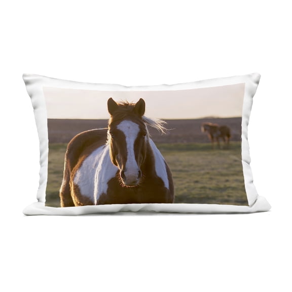 Stupell Industries Spotted Horse in Rural Countryside Design by Steve Toole Outdoor Printed Pillow