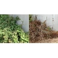 thumbnail image 2 of RM43 Total Vegetation Control, (64 oz) - 1/2 gallon, 2 of 8