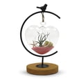thumbnail image 4 of WGV Clear Small Heart Terrarium - 5" Wide x 5" Height, Good quality, Heavy Weighted Base - 1 Pc, 4 of 8