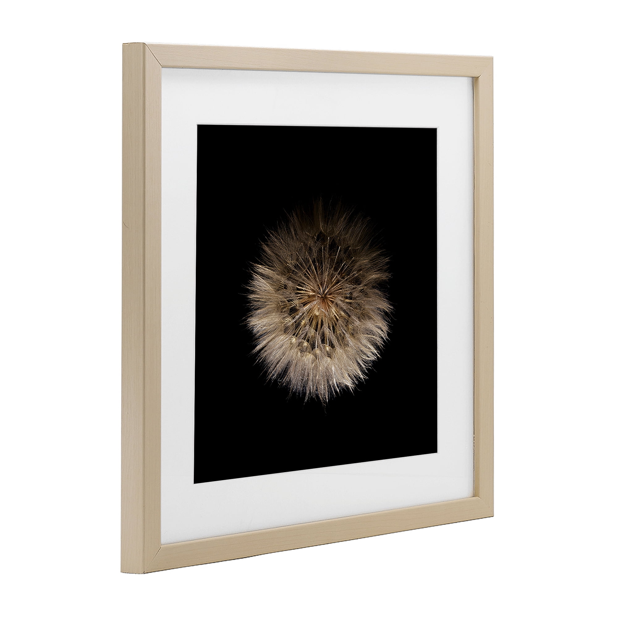 Stupell Industries Wispy Dandelion on Black Birch Framed Print Under Glass, design by Beth Adoette