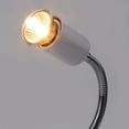 thumbnail image 5 of Limei Bulb for Bearded Dragon, 50W UVA Reptile Heat Lamp Soft White Light Glass Bulb Turtle Light Infrared Light Basking Heat Lamps Outdoor for Pet/Amphibian/Lizard (E27,110V), 5 of 6
