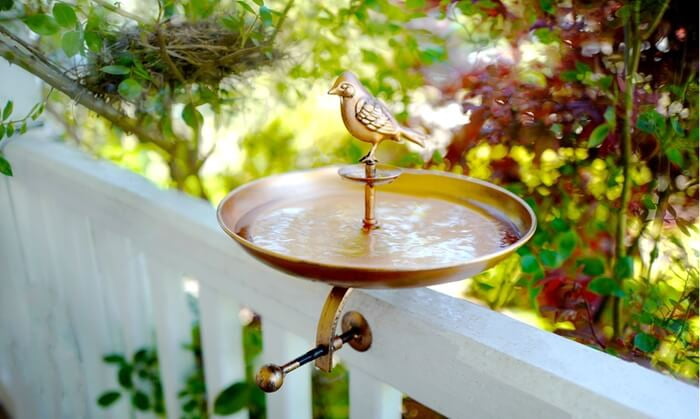 Bird & Butterfly Oasis Pollinator Fountain and Bird Bath