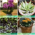 thumbnail image 6 of 8 Quarts Organic Horticultural Perlite for Plants Indoor- Natural Horticultural Soil Additive Conditioner Mix for Improves Drainage, Ventilation and Root Growth, 6 of 7