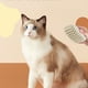 thumbnail image 4 of Cepillo de baño de gel de sílice para mascotas, herramienta de limpieza que elimina el pelo suelto, lava el cuerpo de perros y gatos, herramienta mágica de fregado, 4 of 6
