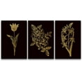 thumbnail image 3 of PixonSign Canvas Print Wall Art Set Gold and Black Flower Variety Floral Wilderness Illustrations Minimalism Farmhouse/Country Group Dramatic Multicolor Dark for Living Room, Bedroom - 16"x24"x3, 3 of 5