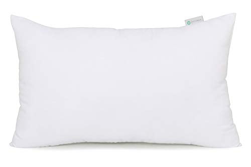 pillow form sizes walmart