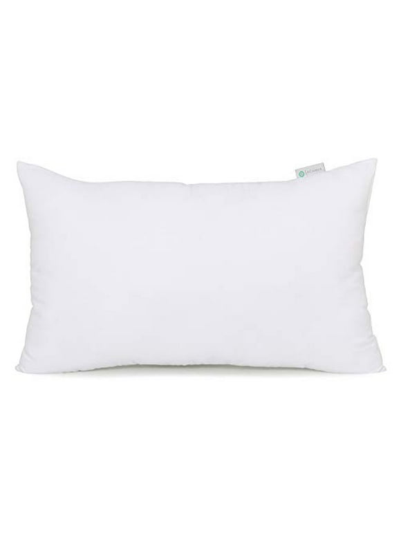 Throw Pillow Inserts