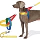 thumbnail image 1 of MoMA Dog Harness for Medium Large Dogs, Easy Walk Dog Harness and Leash Set, No, 1 of 5