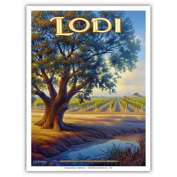 Lodi Wineries - Valley Oak (Quercus lobata) - California Vineyards Wine Country Art by Kerne Erickson - Master Art Print (Unframed) 9in x 12in