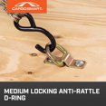 CargoSmart Locking Anti-Rattle D-Ring, 5000-Lb. Capacity, 3/8in., Model ...