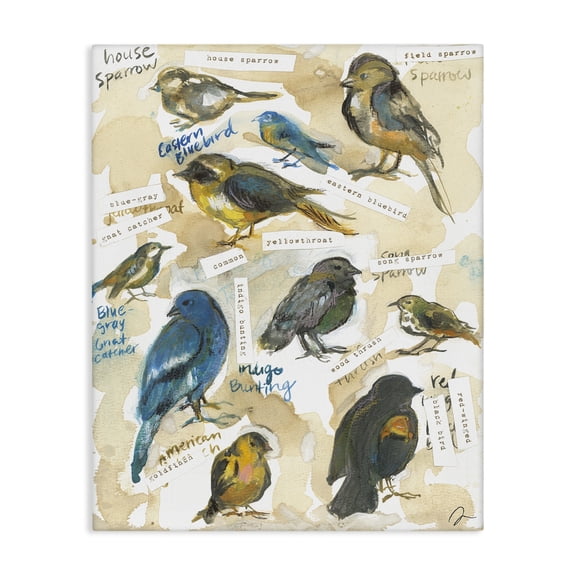 Stupell Industries Rustic Lodge Backyard Birds Identities Canvas Art, 16 x 20, by Jessica Mingo