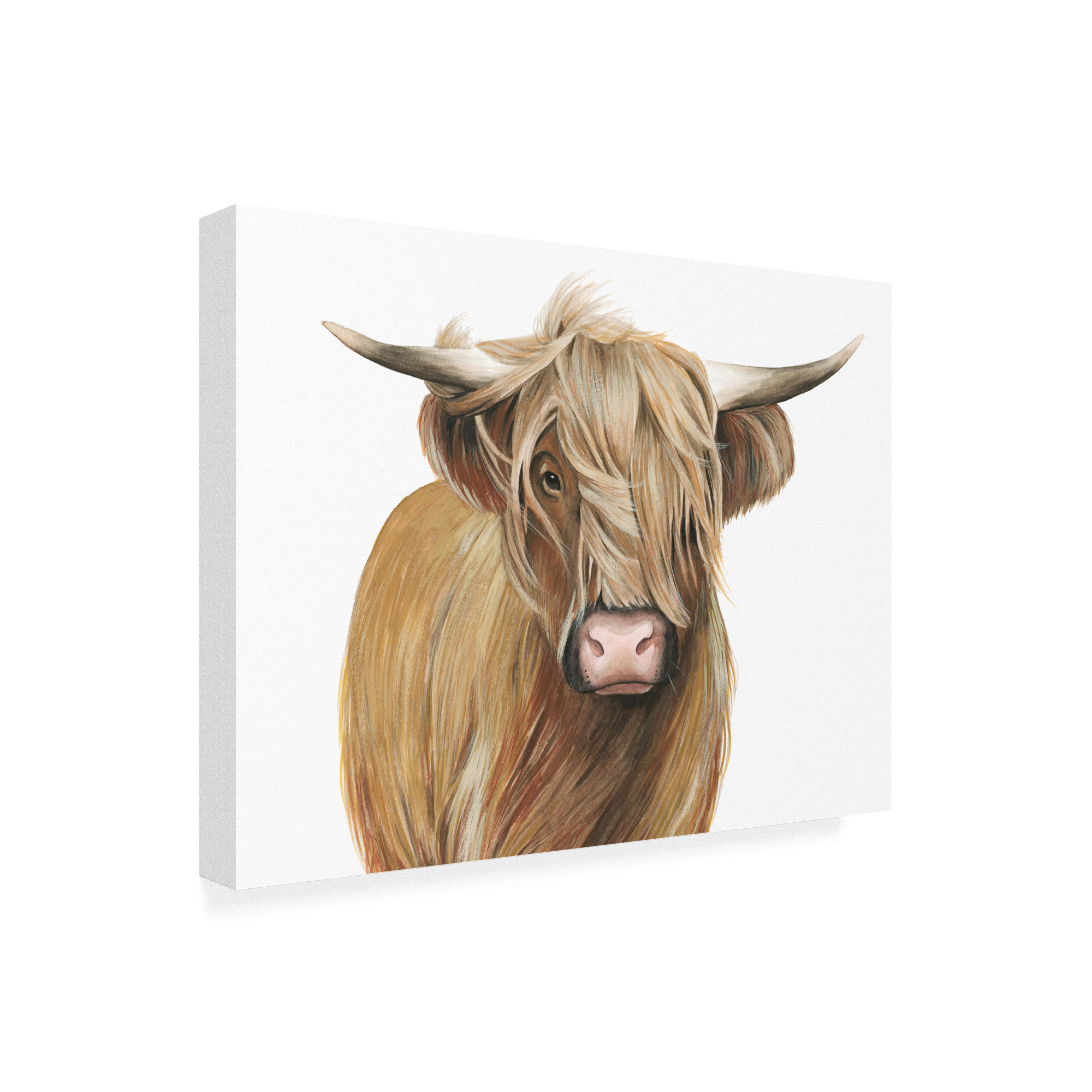 Trademark Fine Art 'Highland Cattle I' Canvas Art by Grace Popp