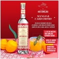 thumbnail image 4 of Mezcal 400 Conejos Espadín Cuishe 700 ml, 4 of 4