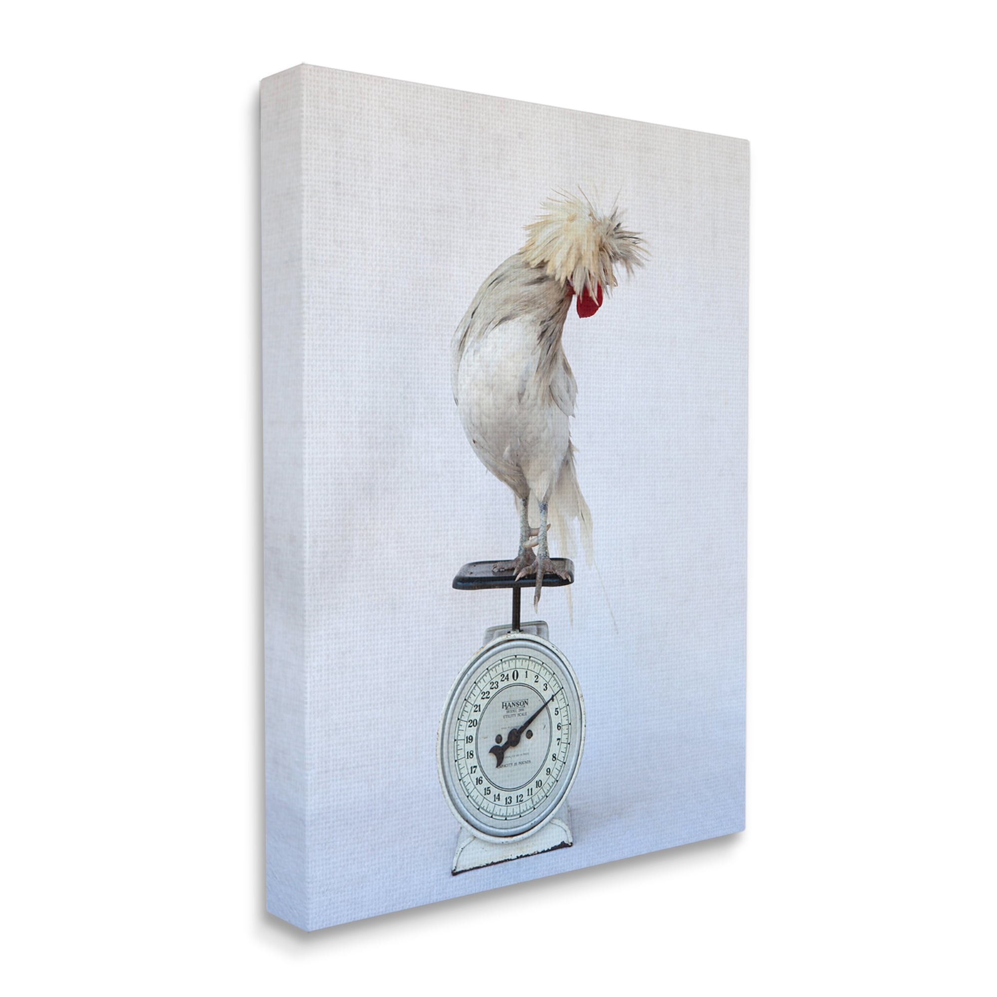 Stupell Industries White Bird Standing Vintage Kitchen Scale Photography Photograph Gallery Wrapped Canvas Print Wall Art, Design by Tania Soderman