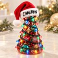 Personalized Chemistry Flask Ornament Christmas Tree Acrylic Holiday ...