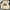 Beige, variant on Hoodies For Teens Boys Women Cute Fashion Sweatshirts Hoodie For Teen Girls Hoodies Graphic Design Pullover Boys Size 10 12 14-16 Christmas Green