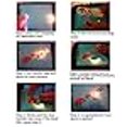 thumbnail image 4 of Loch Ness Monster Snake - Vinyl Decal Sticker - 17" x 5.75" - Black, 4 of 4