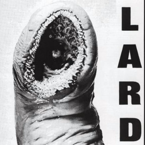 Lard - Power of Lard - Music & Performance - Vinyl