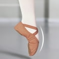thumbnail image 3 of LJNYFDC Chaussures de Danse Douces pour Tout-Petits Chaussures de Ballet pour Filles Tissu Extensible Doux Respirant Léger Résistant à l'Usure Chaussons pour Tout-Petits, 3 of 7