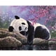 thumbnail image 1 of Taladro Diamante Pintura (DE4198) 5D DIY Completo Panda Bordado Craft Kit Decoración (C1111) 20X30cm Hugtrwg Para estrenar, 1 of 1