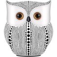 thumbnail image 1 of Owl Statue Home Decor, Owls Figurines for Unique Home Decorations, 1 of 4
