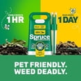 thumbnail image 2 of Weed Killer Spray Power Wand Kit - Weed + Grass Killer₃ Reusable Weed Sprayer, Spot-Treating Kills Weeds in Lawns and Gardens, Additional 2 AA Batteries Included for Continuous Power (64 oz), 2 of 3