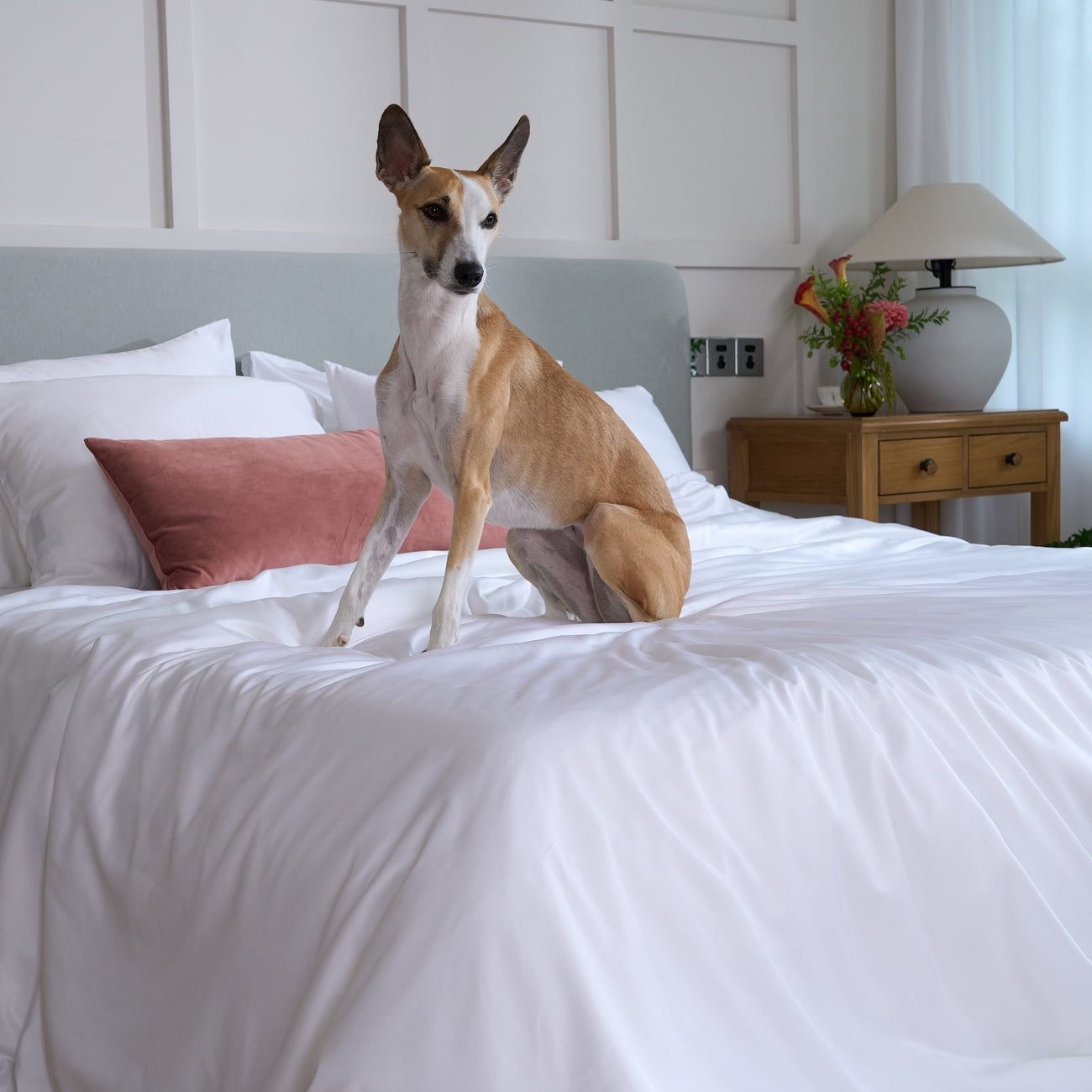 SLASHOP FURRFREE Bamboo Flat Sheet, Pet Hair Resistant, King