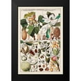 thumbnail image 2 of Unknown 13x18 Black Modern Framed Museum Art Print Titled - Magnolia Chart, 2 of 5