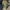 Green, variant on Maean Cargo Pants for Women Baggy Elastic High Waist Workwear Pants Wide Leg Trousers with Side Pockets
