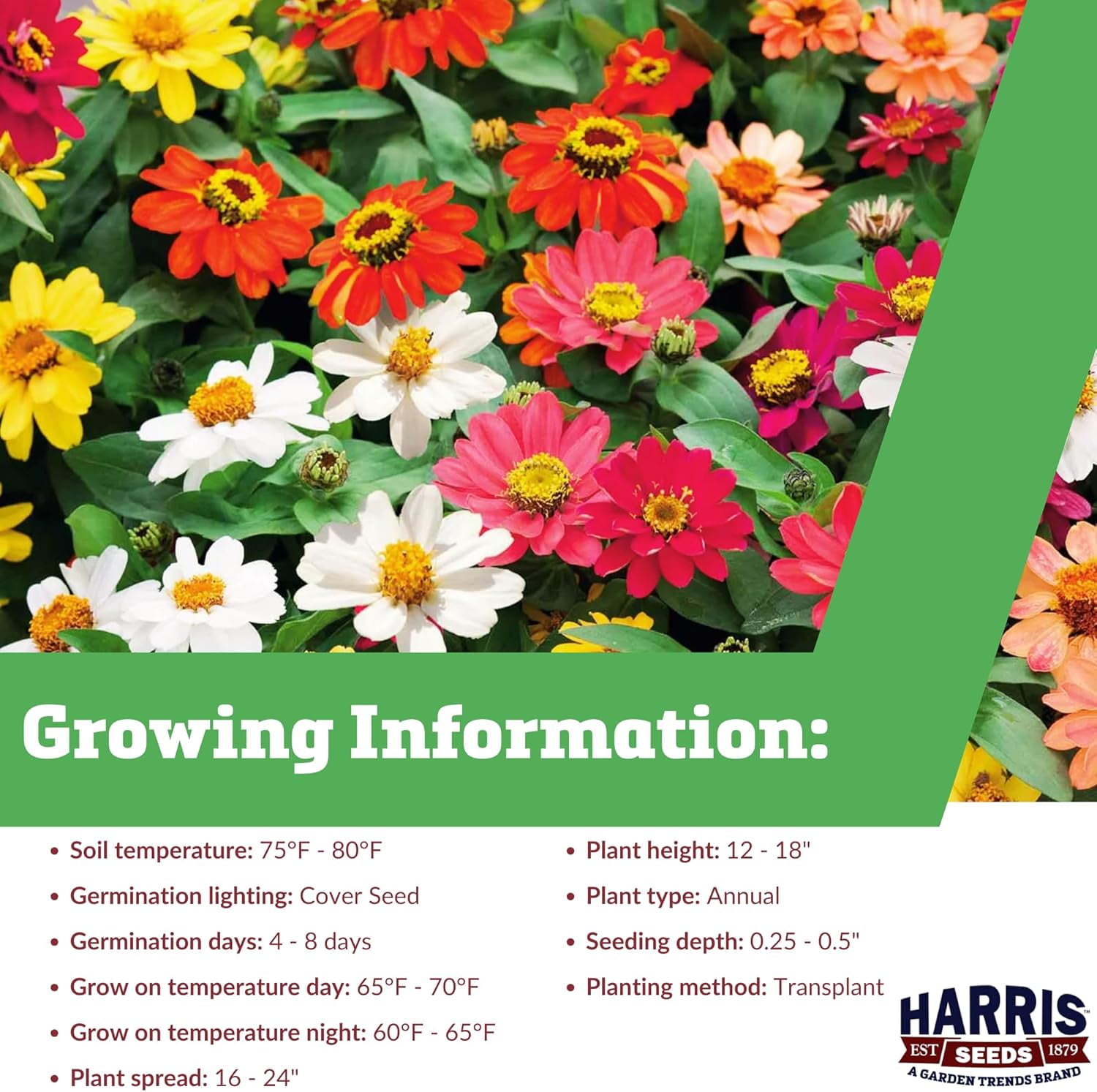 Harris Seeds Zinnia Profusion Mix - Thumbnail 5