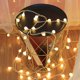 thumbnail image 1 of Bola redonda cálida - 6m 40 luces Versión USB siempre encendida para iluminación de jardín, fiestas, Navidad, decoración (blanco cálido), 1 of 5