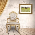 thumbnail image 3 of Styber, Dana 32x23 Gold Ornate Wood Framed with Double Matting Museum Art Print Titled - Hay Rolls III, 3 of 4