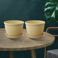 thumbnail image 6 of PASILI Garden Flower Pot Set Of Two With Bottom Holder For Plants 14Cm X 10Cm X 10Cm, 6 of 9